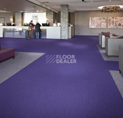 Forbo Flotex Colour Penang p 982017 Penang Nimbus фото 2 | FLOORDEALER